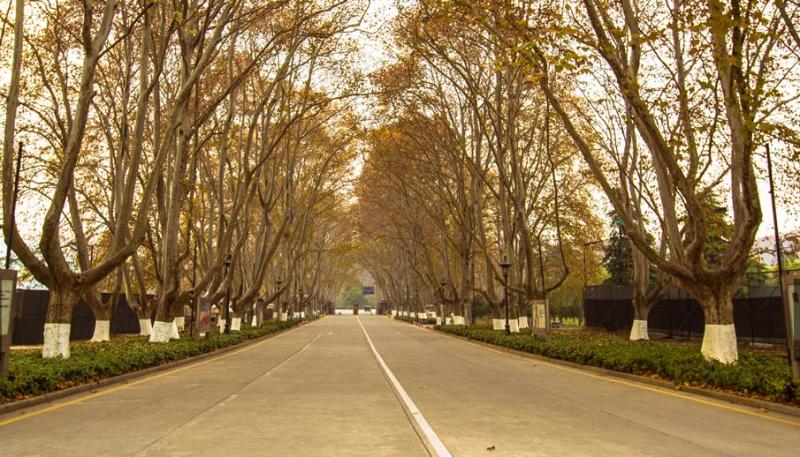 民国南京体育场,民国时期远东第一大都市