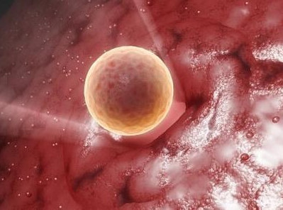 好不容易盼到孩子上学,好不容易等来的宝宝出生