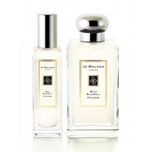 我想你的化妆品柜台上可能就缺它了