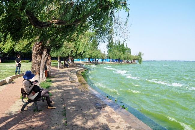 人文自驾国足主帅高洪波、前米卢都青睐的昆明海埂基地周边景观