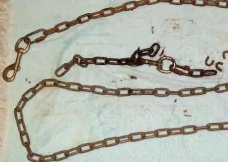 为啥流浪狗会突然发狂,流浪狗行为怪异