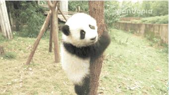 初二物理摩擦力易错题,中学物理难点归纳