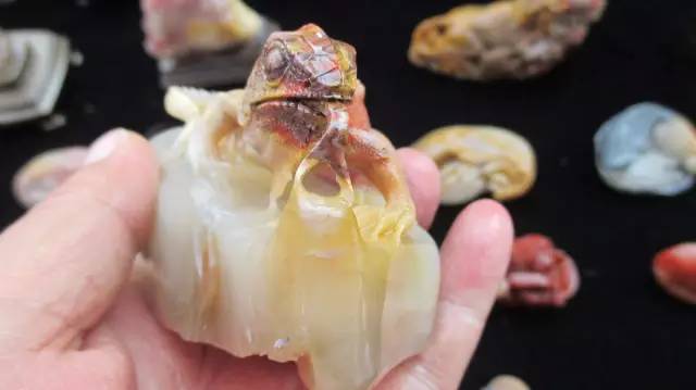 鍗氶泤鐭宠僵,鍗氶泤杞╁灞辩煶