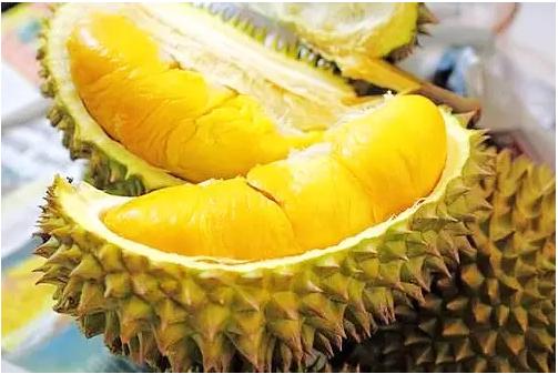 水果之王榴莲完整版,水果之王榴莲价格多少