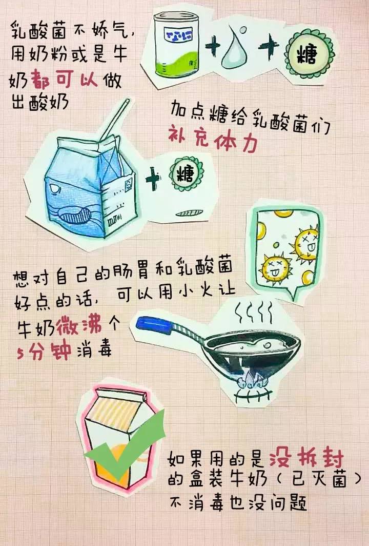 营养师教你自制益生菌,美国注册营养师都学什么