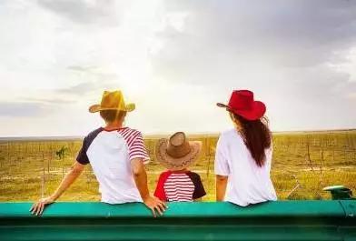 暑假熊出没,熊出没暑假新出的是什么