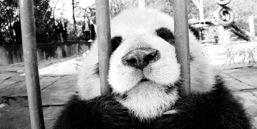 家装风水的十大禁忌,今年什么生肖不适合装修