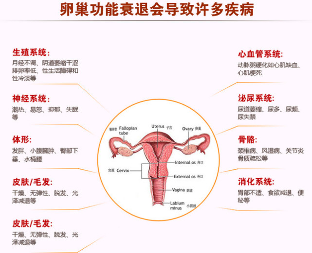 老公嫌我身体脏竟然..女人们别再轻忽你的卵巢了！