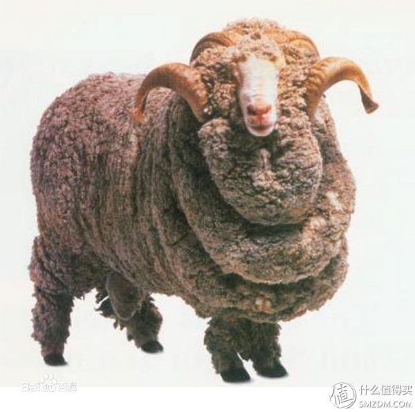 户外运动打底衣评测,icebreaker冲锋衣