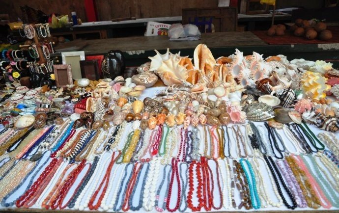 充满颜色的塞舌尔