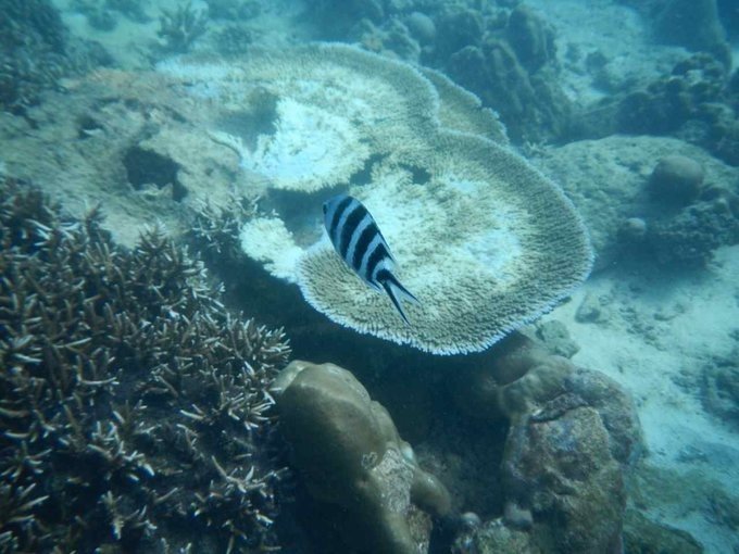 充满颜色的塞舌尔