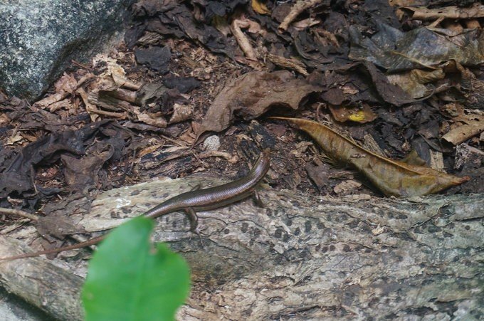 充满颜色的塞舌尔