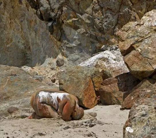 图：人体彩绘裸模藏进美景