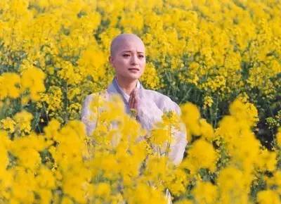 就算爱豆变光头，仍然是迷妹们最喜欢的一颗卤蛋。