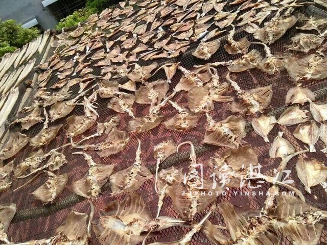 来自阳光的味道--雷州半岛的鱼干