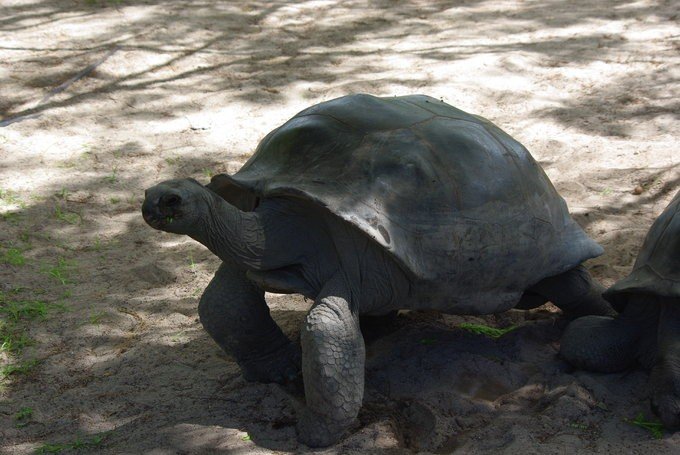 充满颜色的塞舌尔