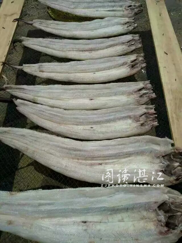 来自阳光的味道--雷州半岛的鱼干