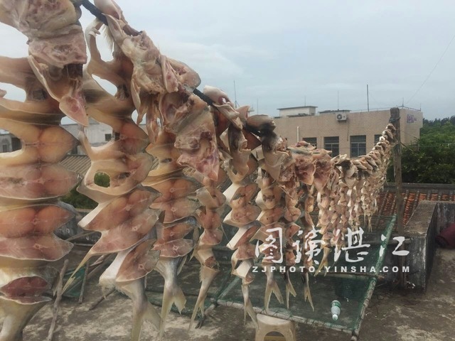 来自阳光的味道--雷州半岛的鱼干