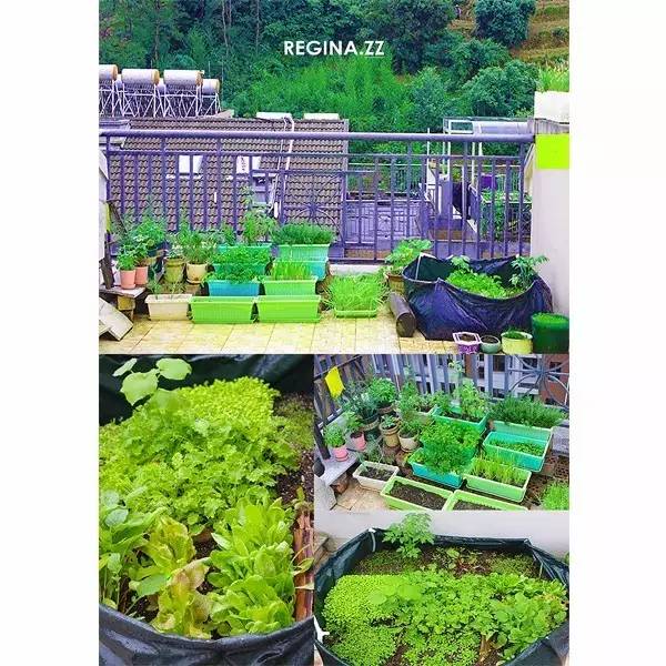 3个月瘦22斤的故事,三个月减肥40斤的故事