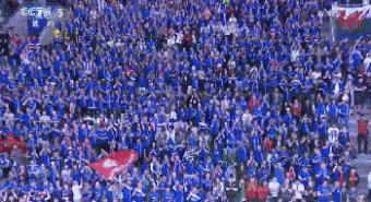 欧洲杯冰岛挺进半决赛时间,这次欧洲杯哪个国家能拿冠军