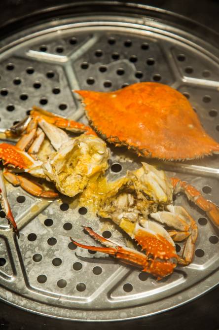 魔都探店小分队吃遍魔都美食,真材实料吃货看过来