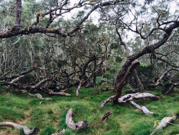留尼汪有什么,留尼汪英文怎么读