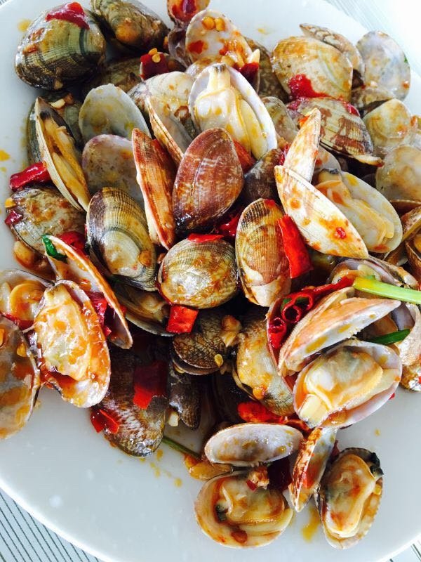 秦皇岛不出名海滩,秦皇岛最罕见的海滩