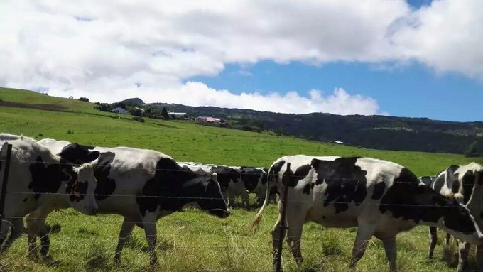 留尼汪有什么,留尼汪英文怎么读