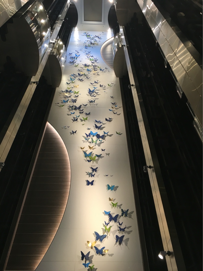 带着小鬼得瑟之海洋量子号五天四晚冲绳游