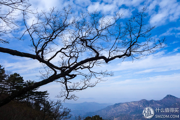 户外运动打底衣评测,icebreaker冲锋衣