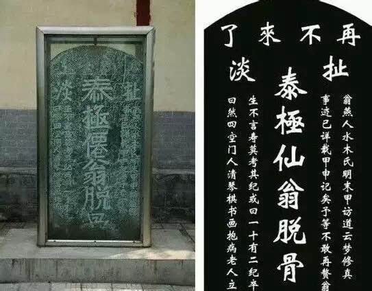 千年萌物大集结,到底谁才是真正的“*物文**萌主”!