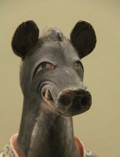 千年萌物大集结，到底谁才是真正的“*物文**萌主”！