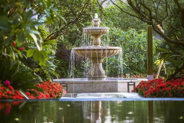 九条猛龙齐过江谁霸江山谁称王？