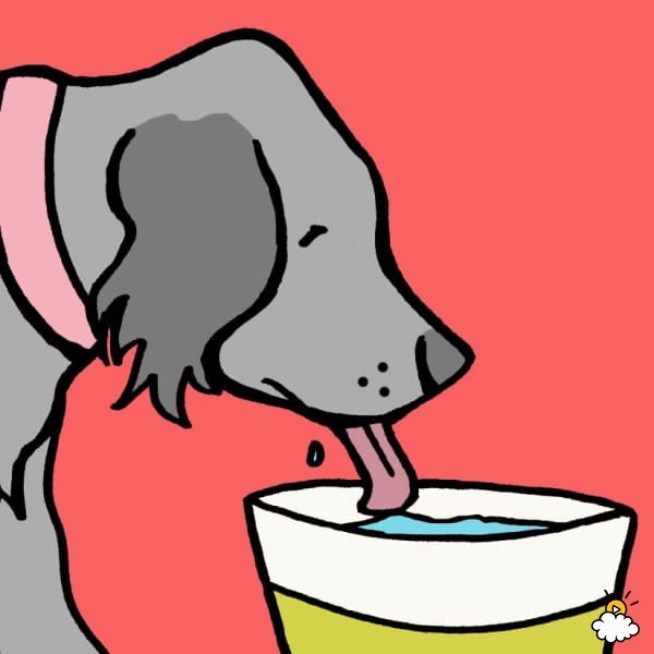 狗狗牙龈舌头发白是怎么回事,狗狗牙龈发炎吃甲硝唑吃几片