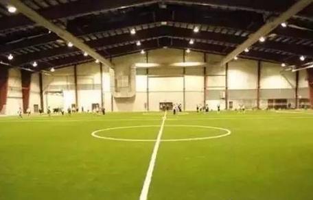 欧洲杯冰岛挺进半决赛时间,这次欧洲杯哪个国家能拿冠军