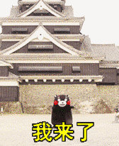 欧洲杯冰岛挺进半决赛时间,这次欧洲杯哪个国家能拿冠军