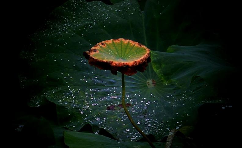 阴雨天青岛适合去的地方,阴雨天青岛旅游攻略三天两夜