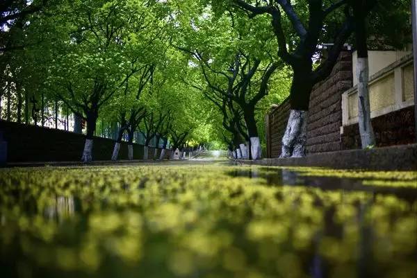 阴雨天青岛适合去的地方,阴雨天青岛旅游攻略三天两夜
