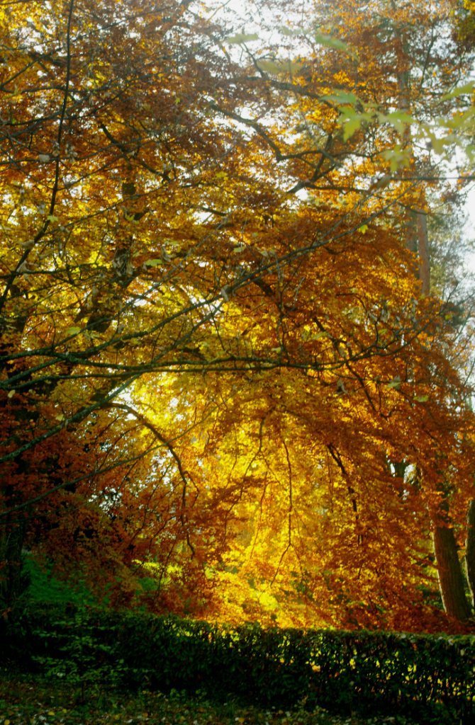 日内瓦二日游,瑞士日内瓦一日游