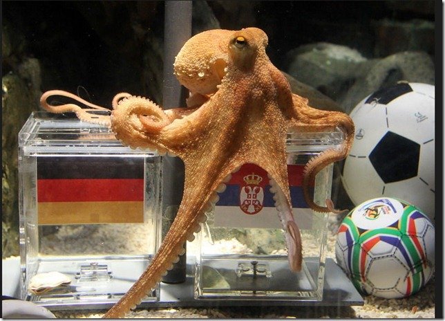 【TC上海现场报道】四次全中堪比章鱼保罗，冰鉴科技更进一步能预测进球数？