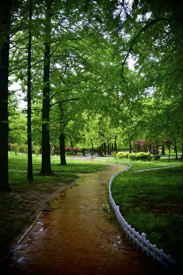 阴雨天青岛适合去的地方,阴雨天青岛旅游攻略三天两夜