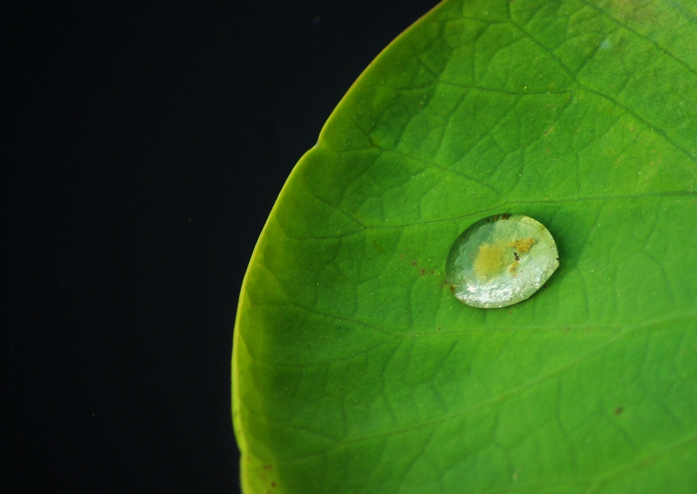 阴雨天青岛适合去的地方,阴雨天青岛旅游攻略三天两夜