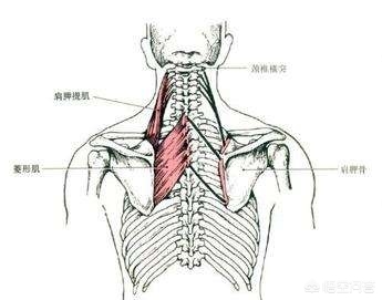 如何改善颈脖前伸,脖子前伸是什么毛病