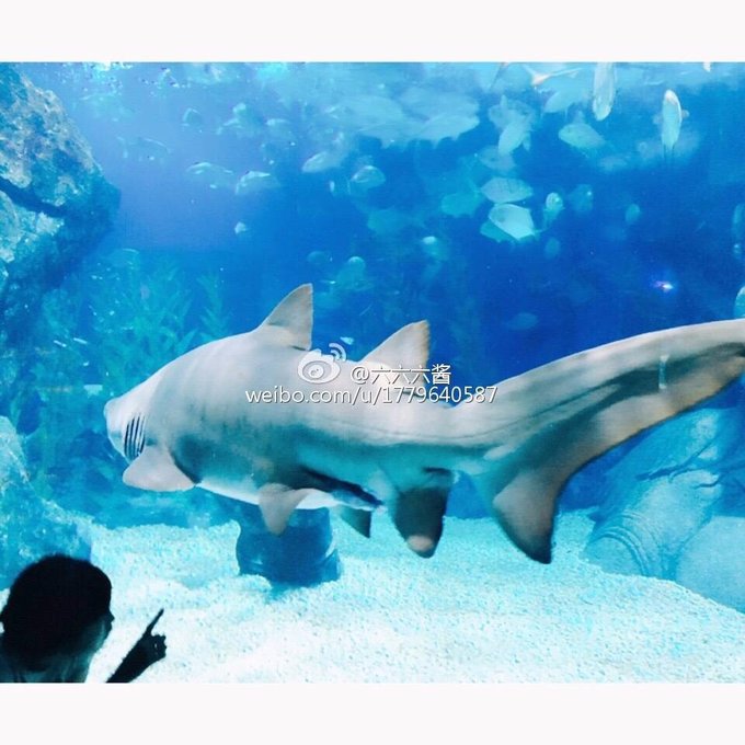 泰国普吉岛3日游攻略2015,泰国曼谷普吉岛照片