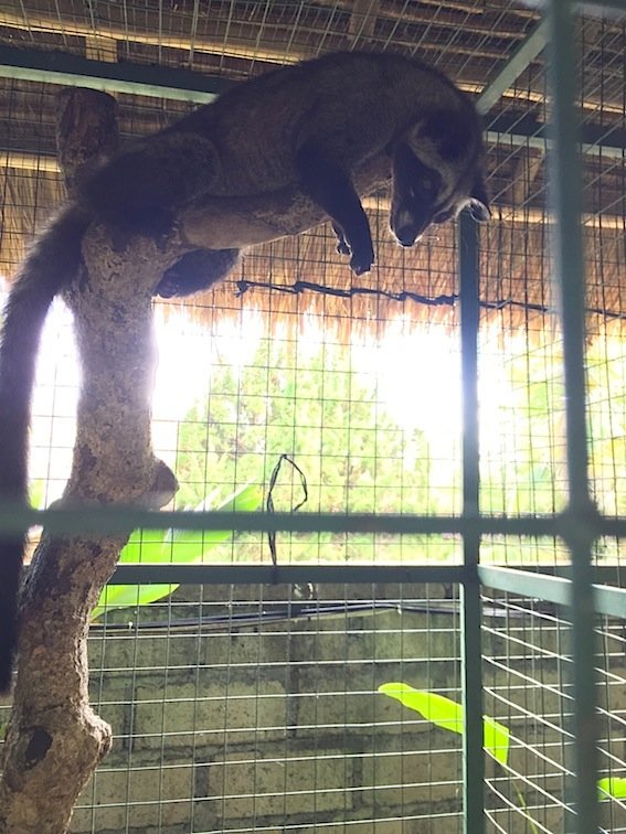 巴厘岛蜜月游旅游攻略,怎么去巴厘岛度蜜月