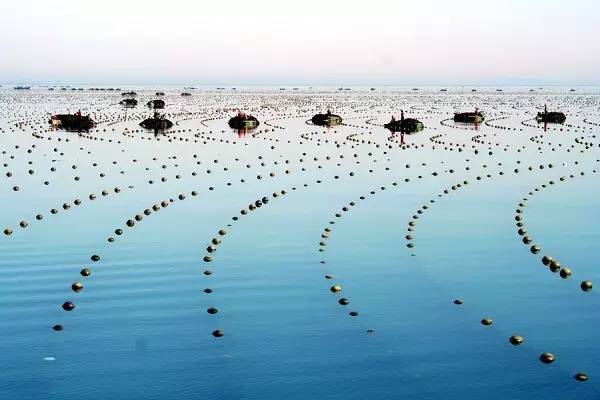 福州近四天发生的事情,福州3月份发生的重大交通新闻