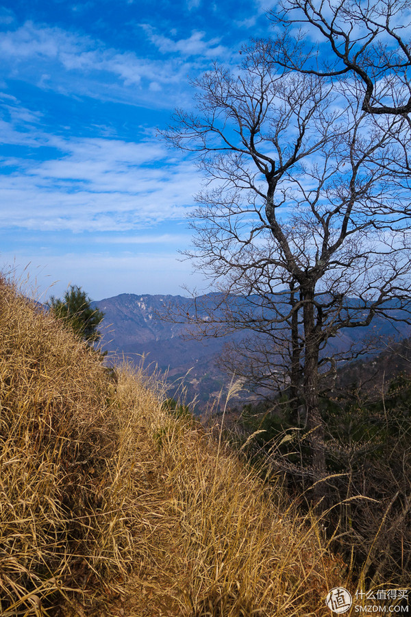 户外运动打底衣评测,icebreaker冲锋衣