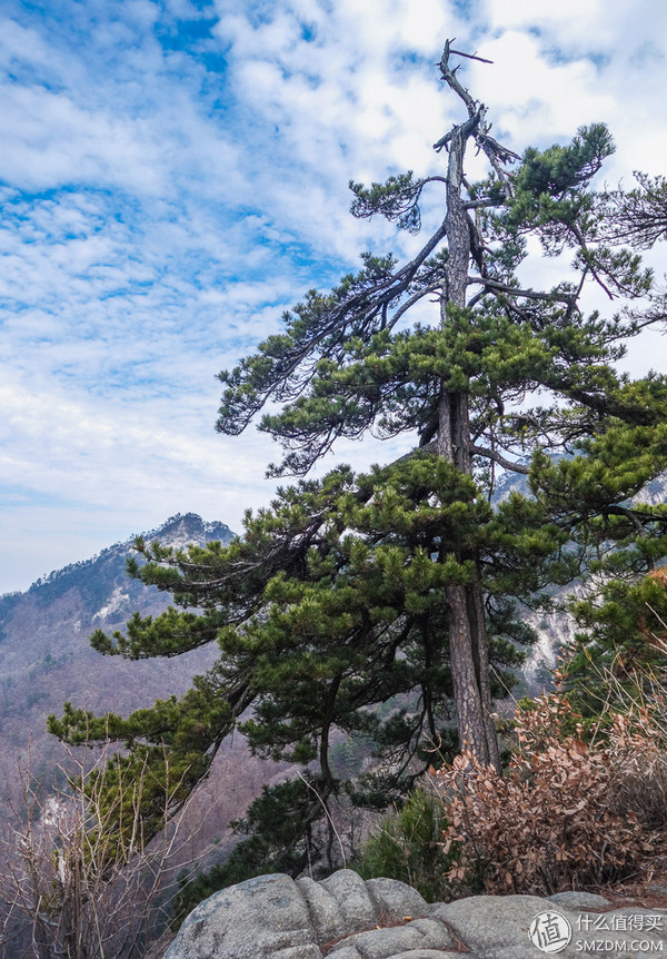 户外运动打底衣评测,icebreaker冲锋衣