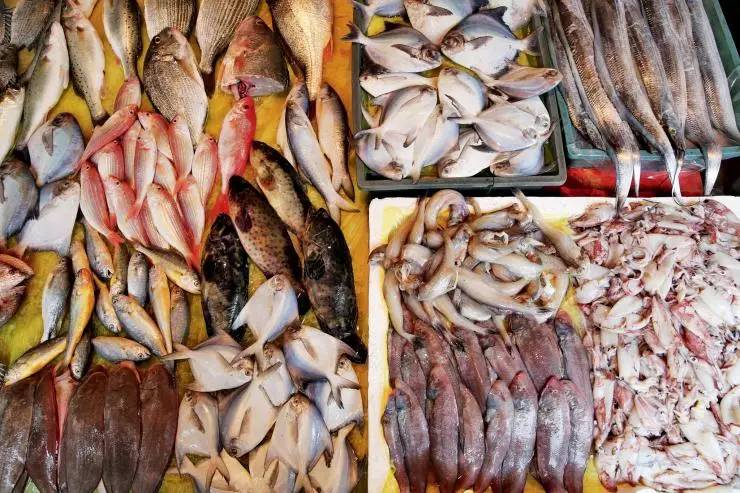 准妈妈应该吃些什么营养品,孕妇吃什么海味干货好