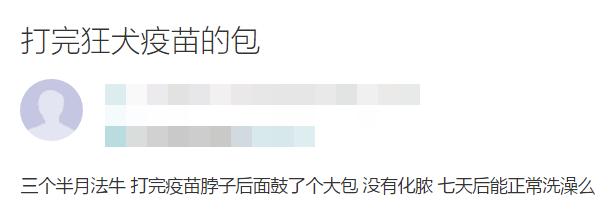 宠物疫苗打了有鼓包,宠物医院打完疫苗皮肤秃了